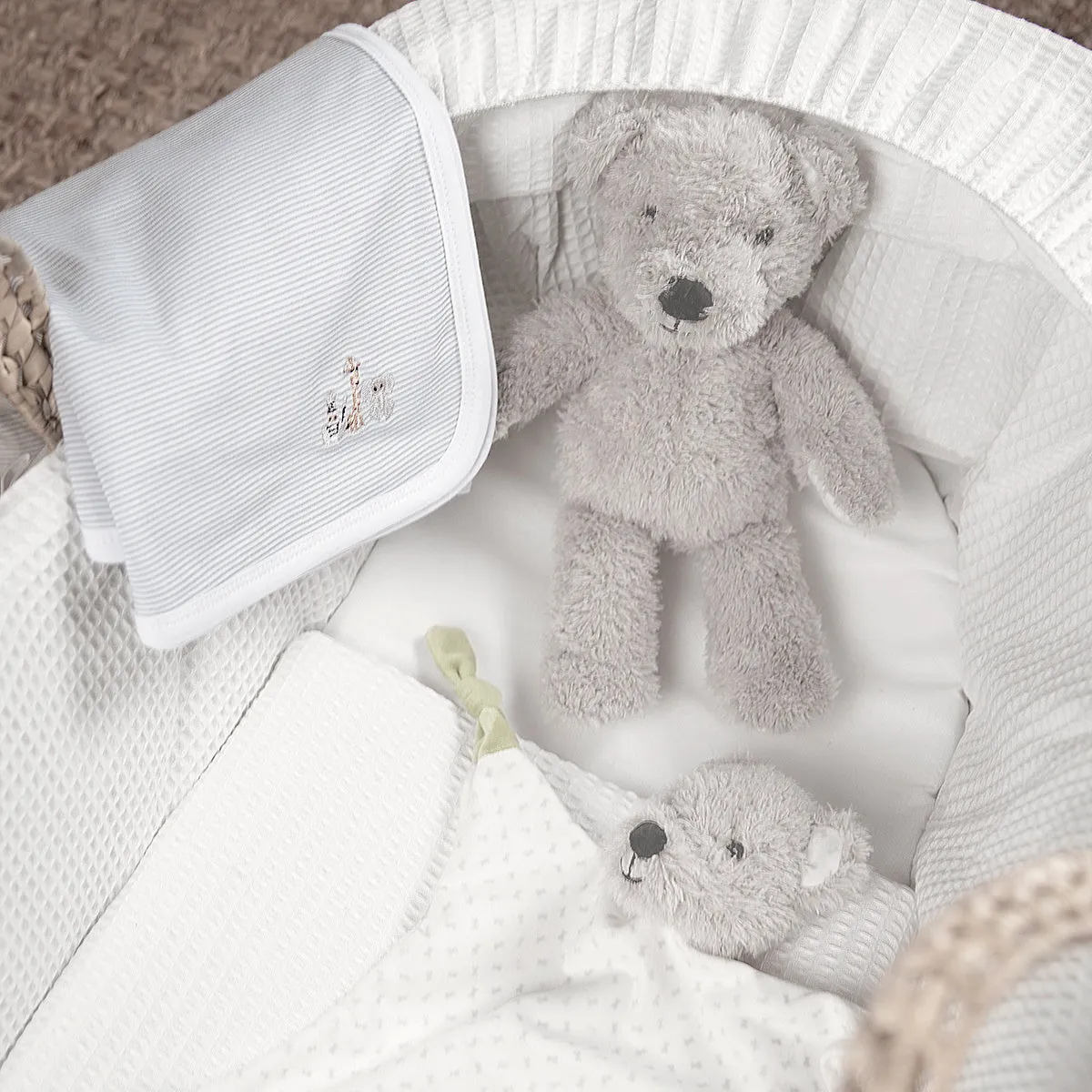 Bear Soft Toy