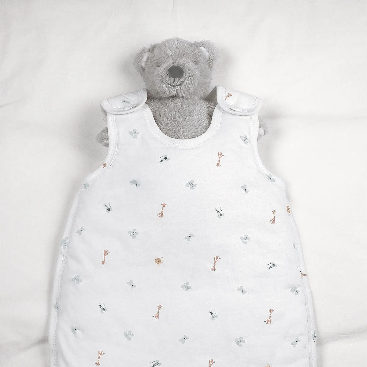 Bear Soft Toy