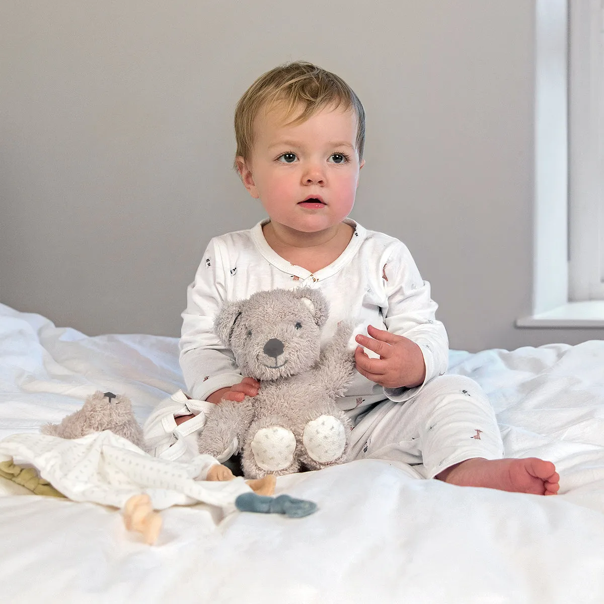 Bear Soft Toy