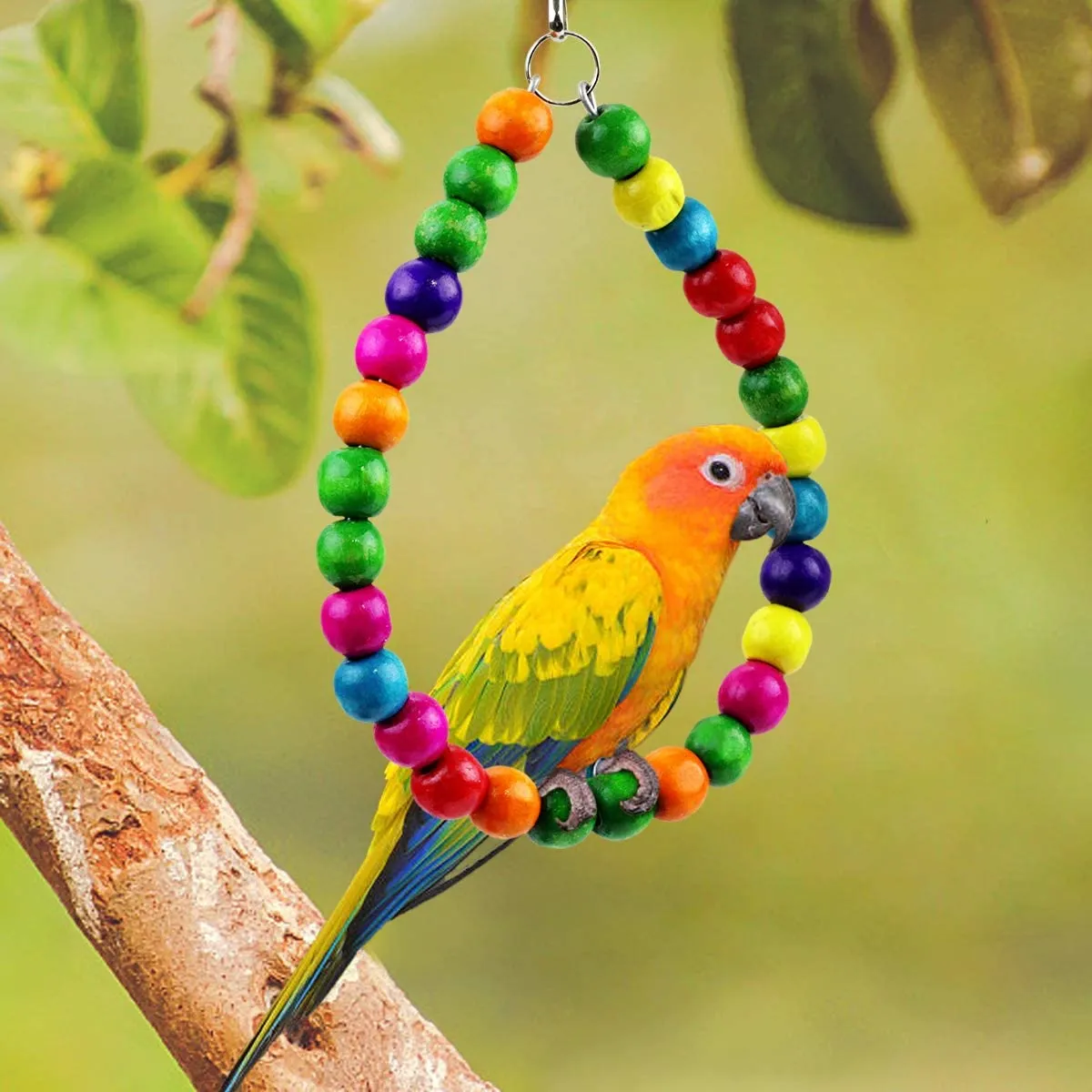 Bird Toys 8 Pack Parrot Toys for Small Parakeets Cockatiels