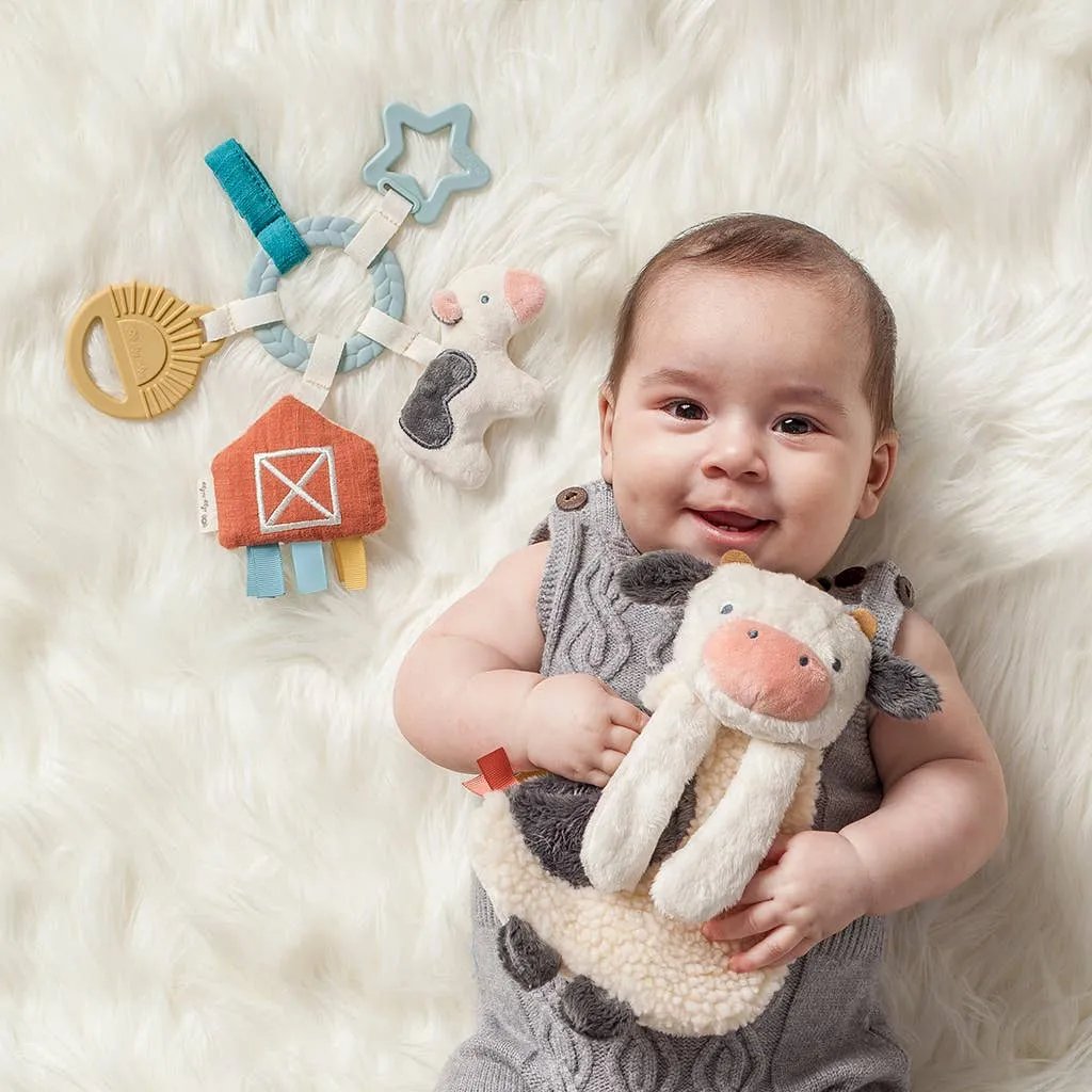 Bitzy Busy Ring™ Teething Activity Toy: High Contrast