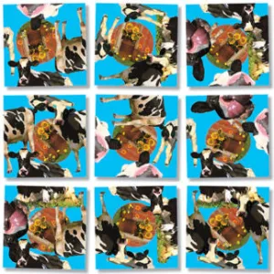 Cows Puzzle
