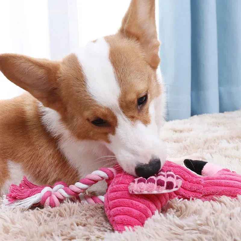 Cute and Durable Plush Squeaky Dog Toys in Animal Shapes