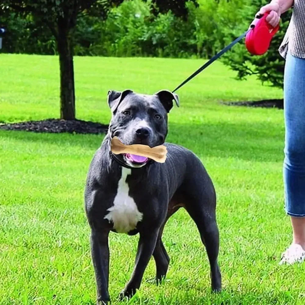 Durable Cowhide Chew Bones for Medium & Large Dogs