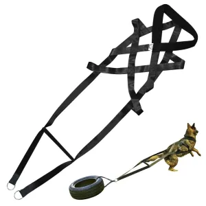 Durable Dog Leash and Chest Strap Set