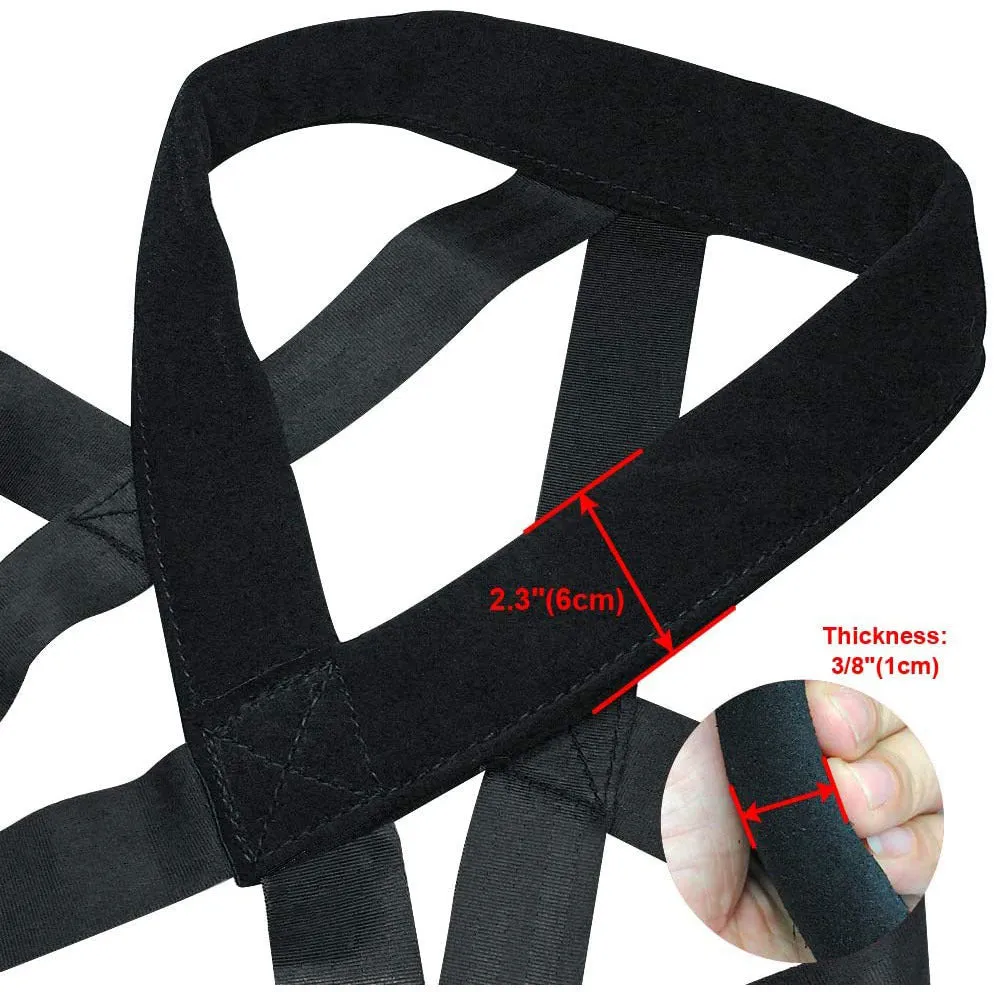 Durable Dog Leash and Chest Strap Set