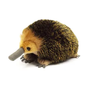 Echidna Soft Toy - 24cm