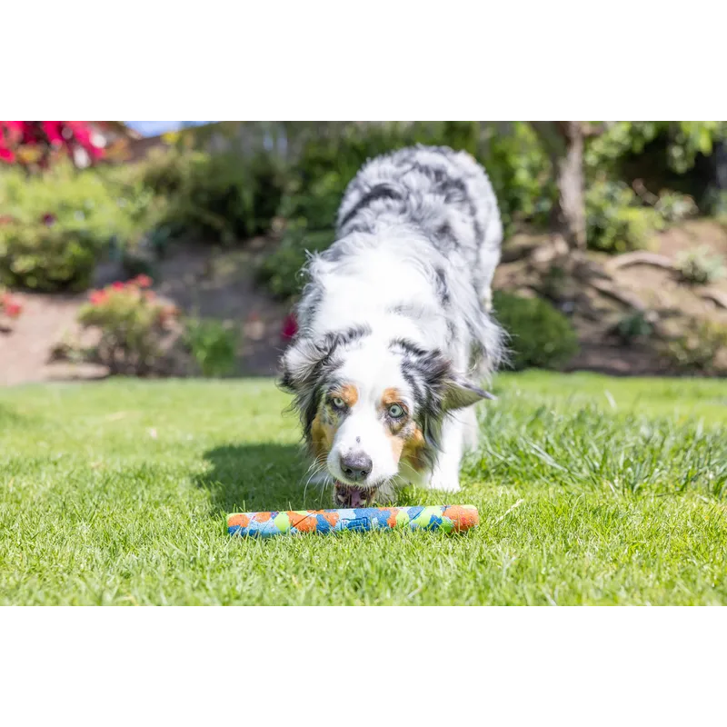 Eco Fetch Stick