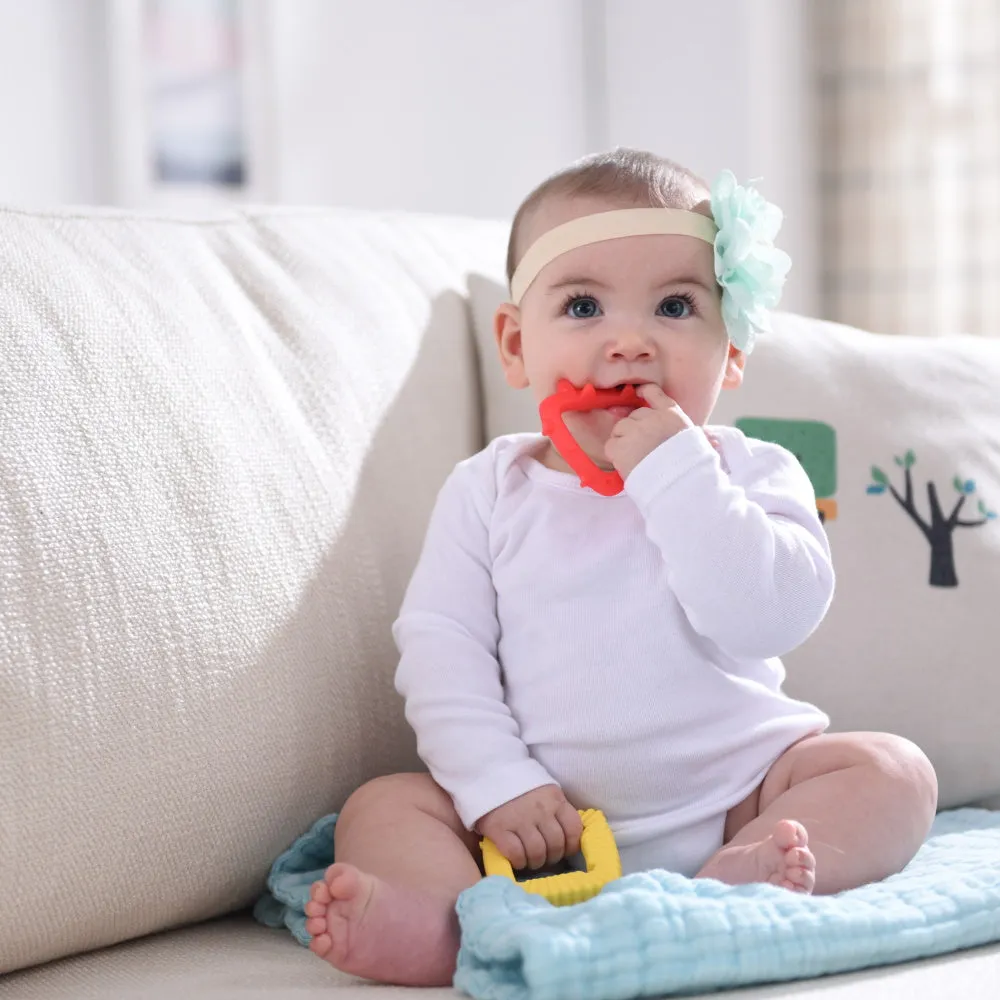 Educational, Geometry Animal Teethers