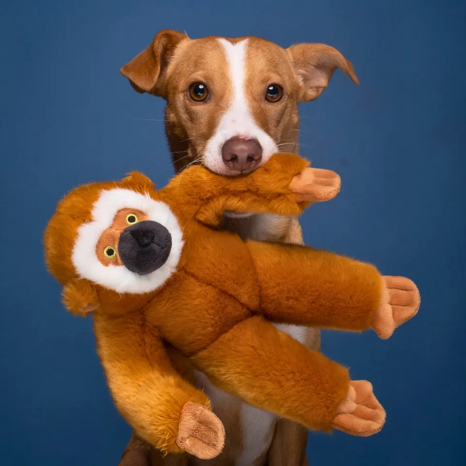 Fluff & Tuff Marcel Monkey Plush Dog Toy - Wholesale