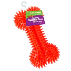 Gnawsome Medium Squeaker Bone Toy