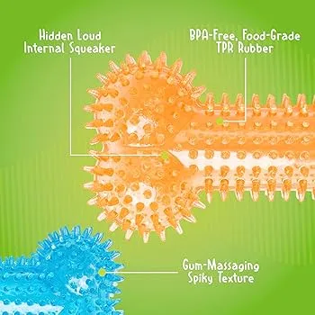 Gnawsome Medium Squeaker Bone Toy