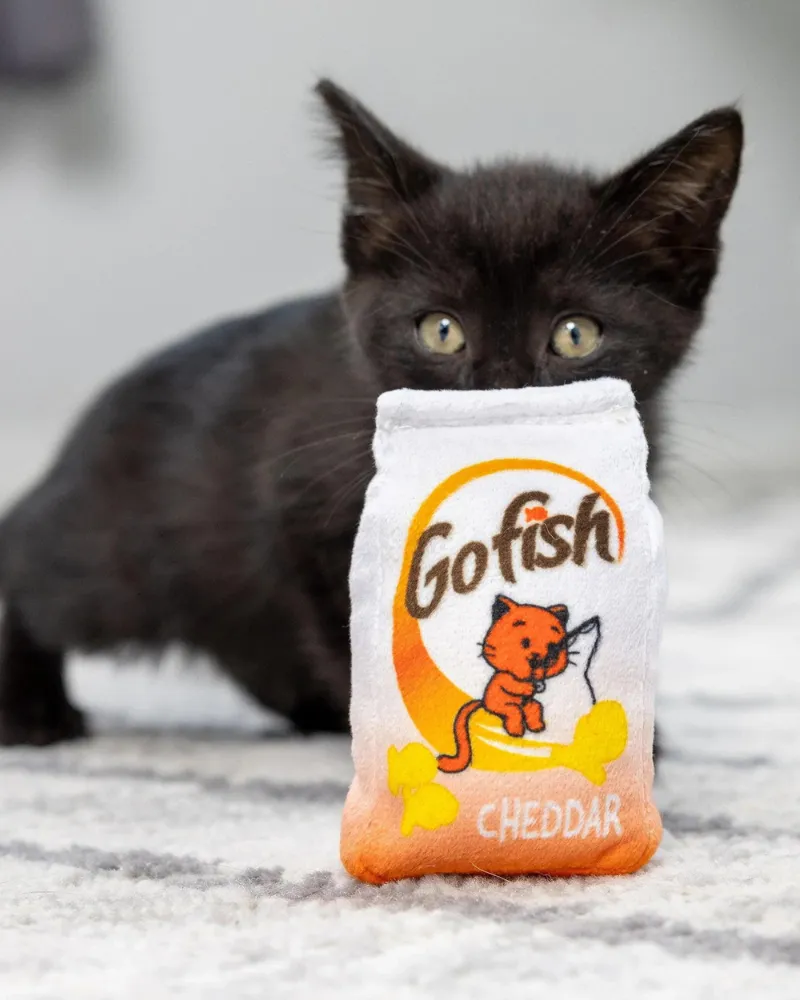 Gofish Cheddar Plush Catnip Toy