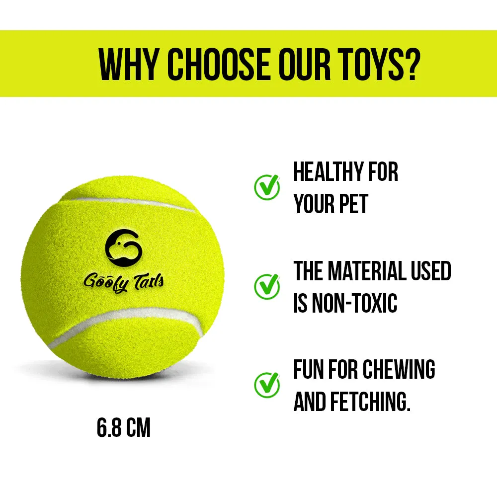 Goofy Tails Sport Tennis Ball Toy for Dogs (Red)