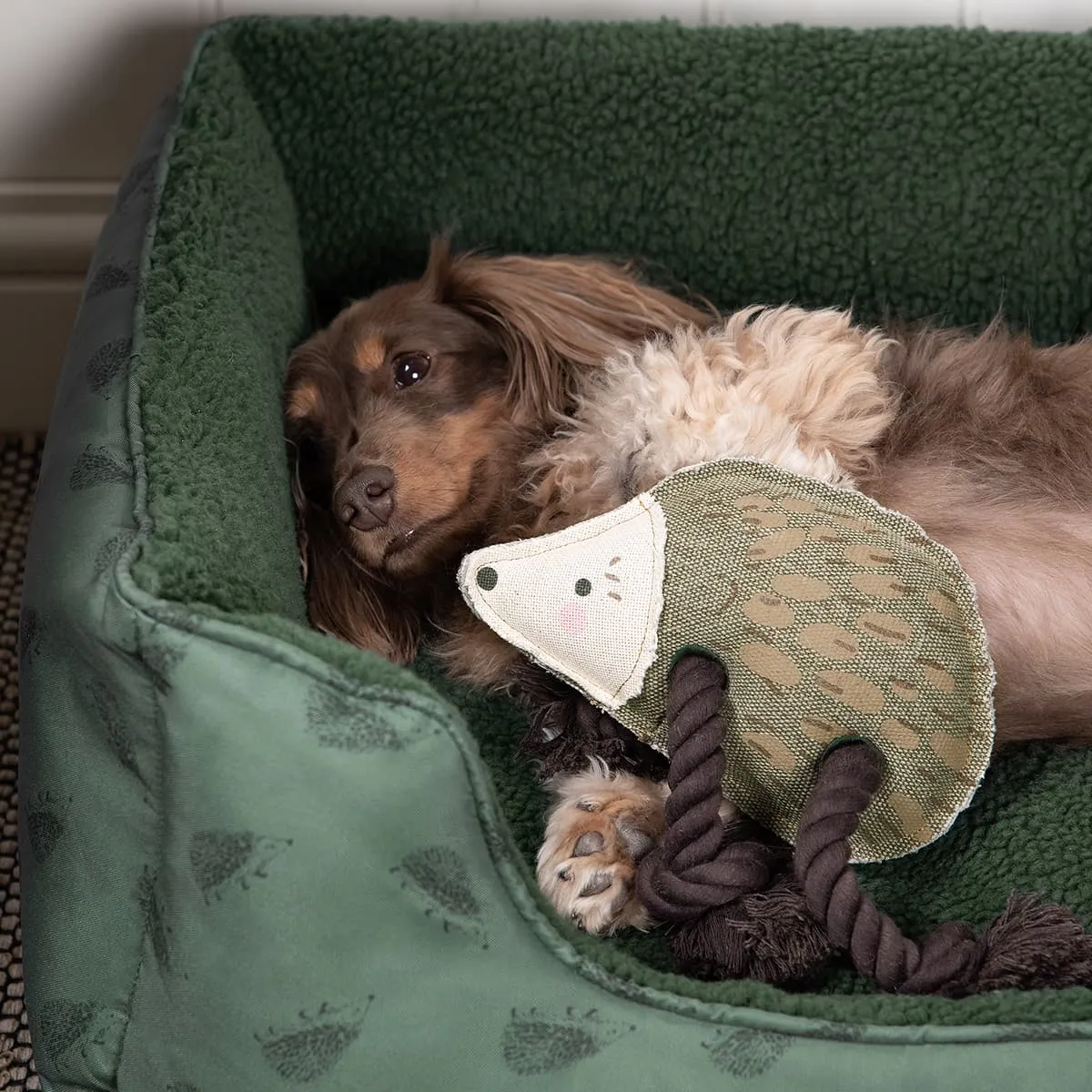 Hedgehog Dog Toy