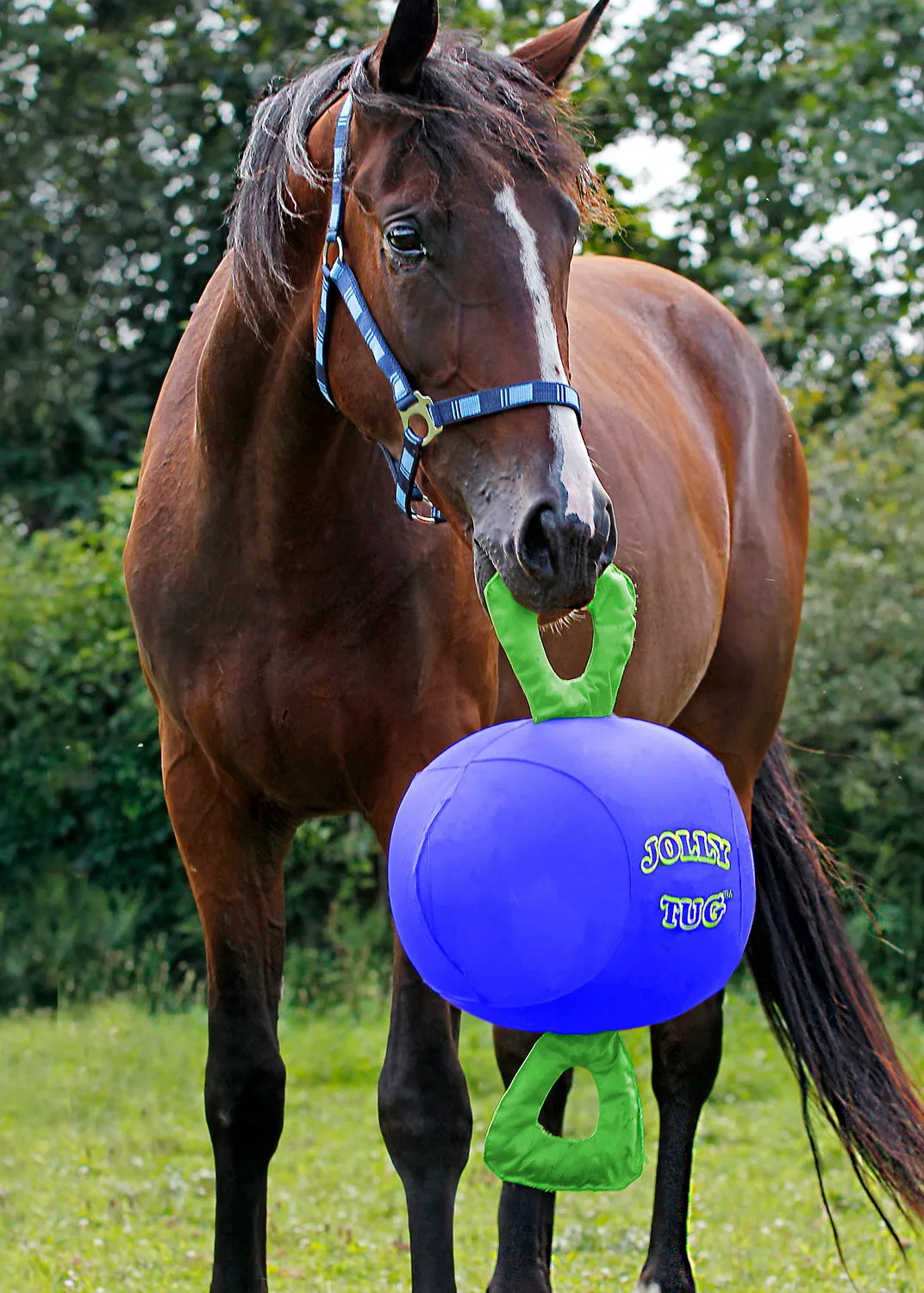 Horse Jolly Tug