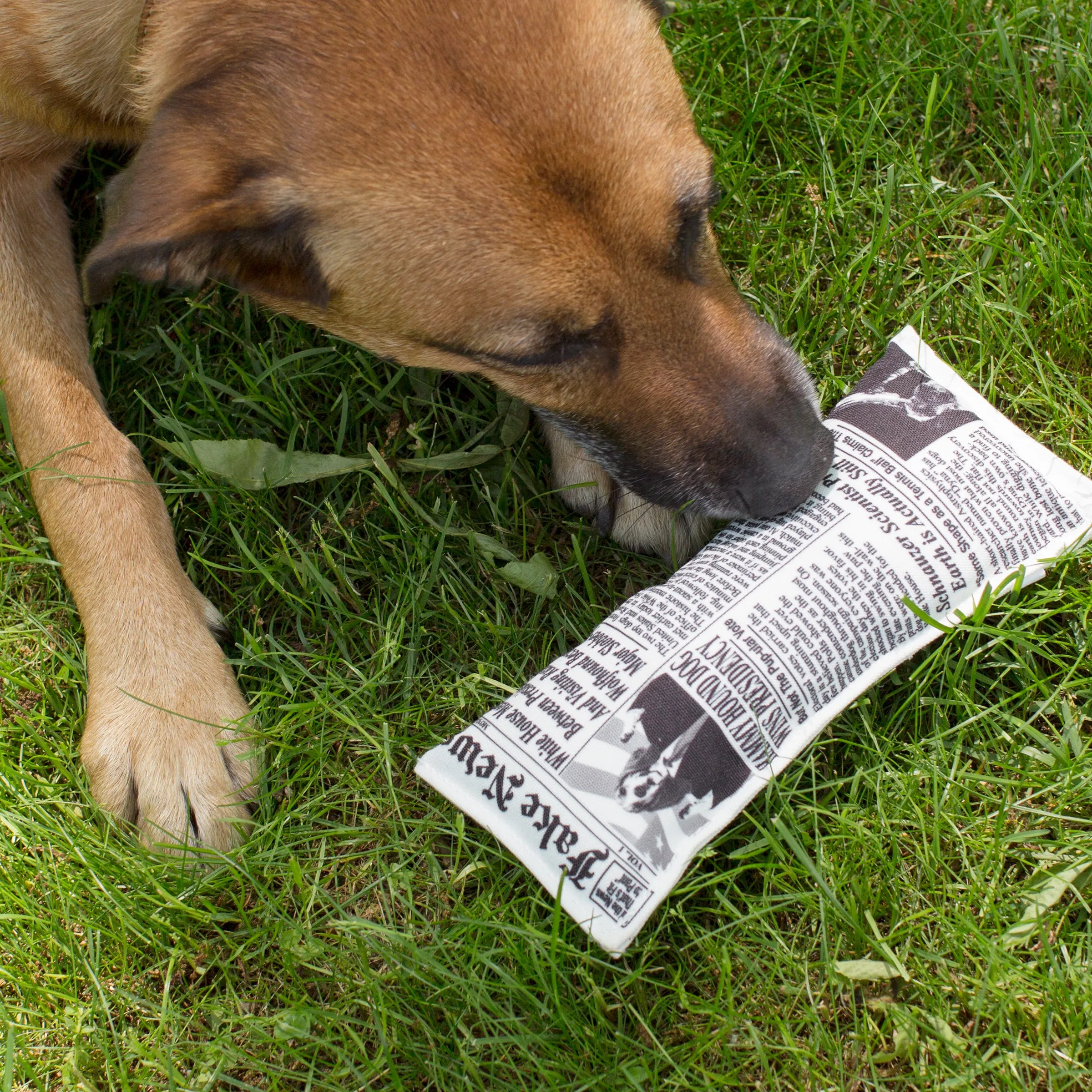 Kobe Doggy Fake News Toy