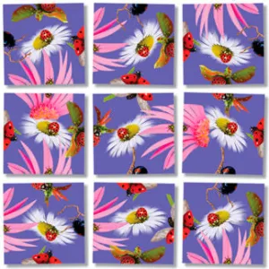 Ladybugs Puzzle