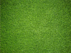 Natural Grass - Impuzzible