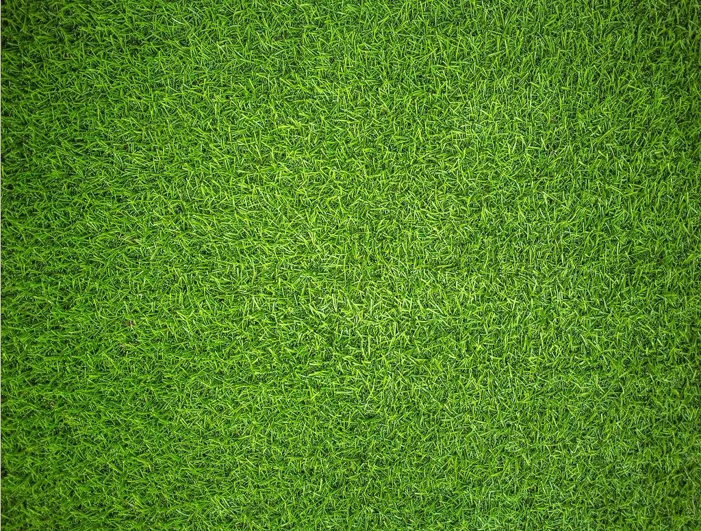 Natural Grass - Impuzzible