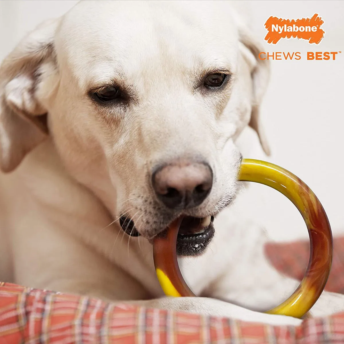 Nylabone Power Chew Smooth Ring Dog Toy