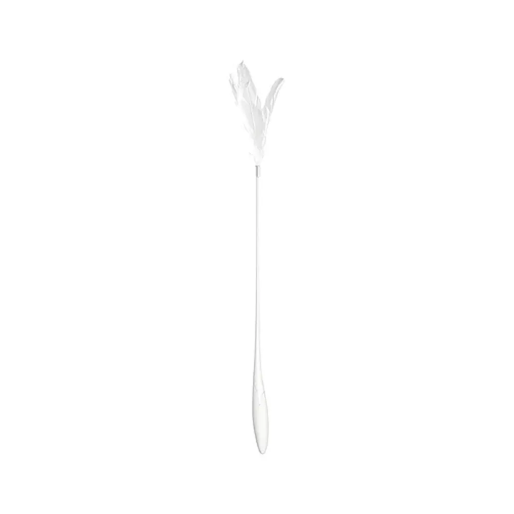 Pidan Extended Teaser Cat Wand Toy (White)