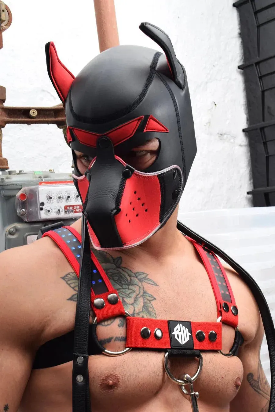 POUNDTOWN GLOW PUP HOOD RED