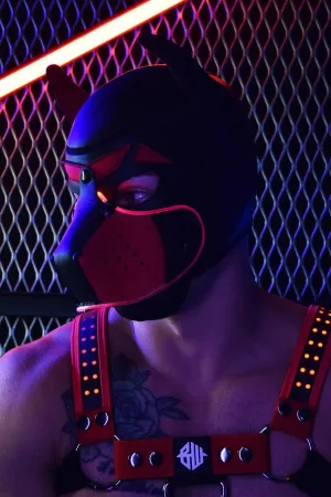 POUNDTOWN GLOW PUP HOOD RED