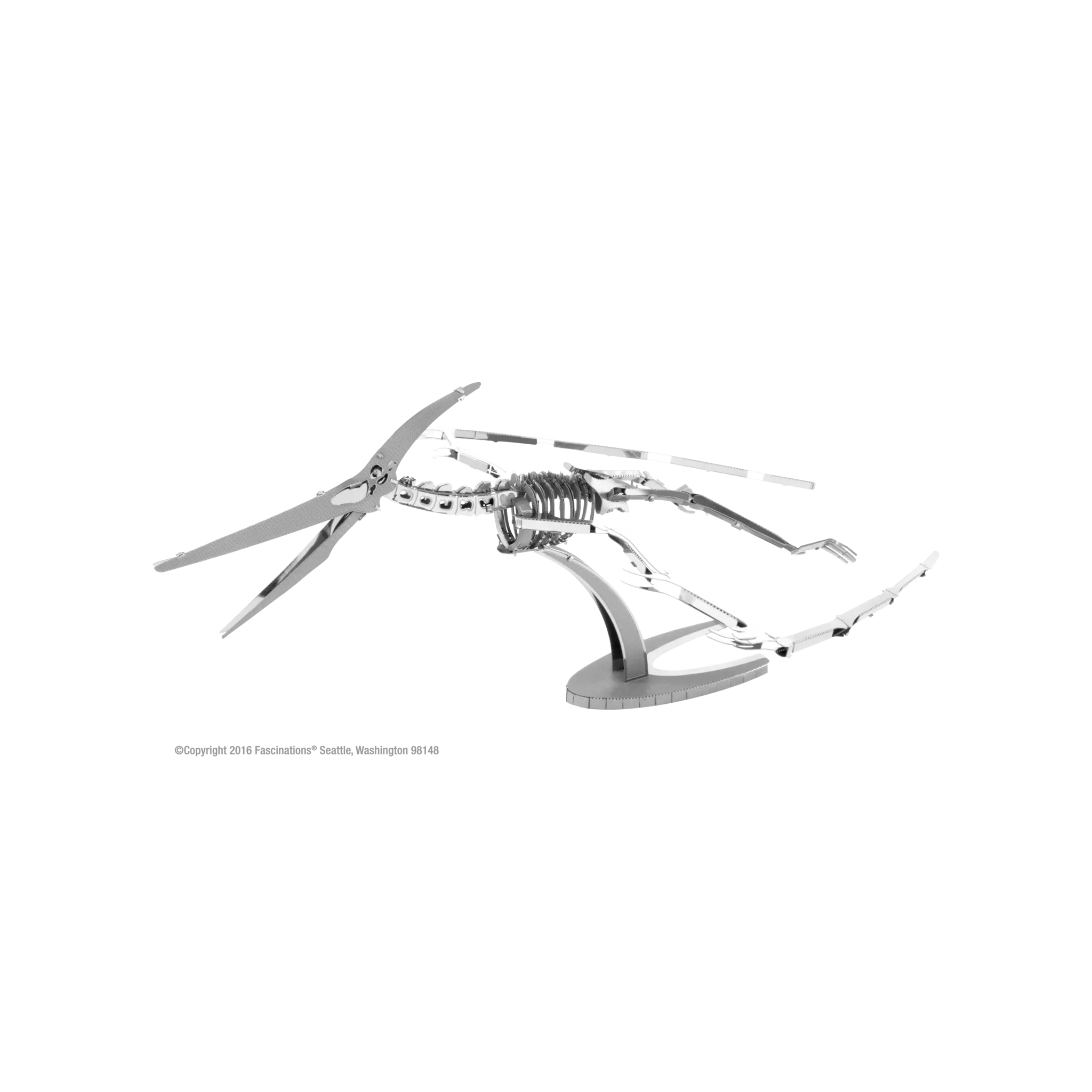 Pteranodon Skeleton.