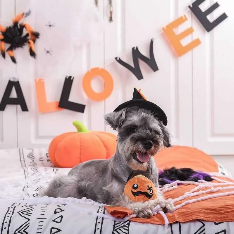 Pumpkin Halloween Dog Toy