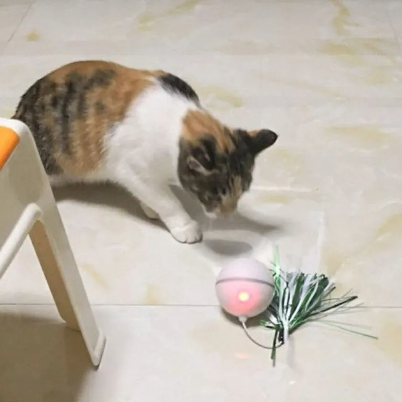 Rolling Cat Ball Toy With Magnetic Feathers Interactive Teasing Multi-function LED Cat Toy