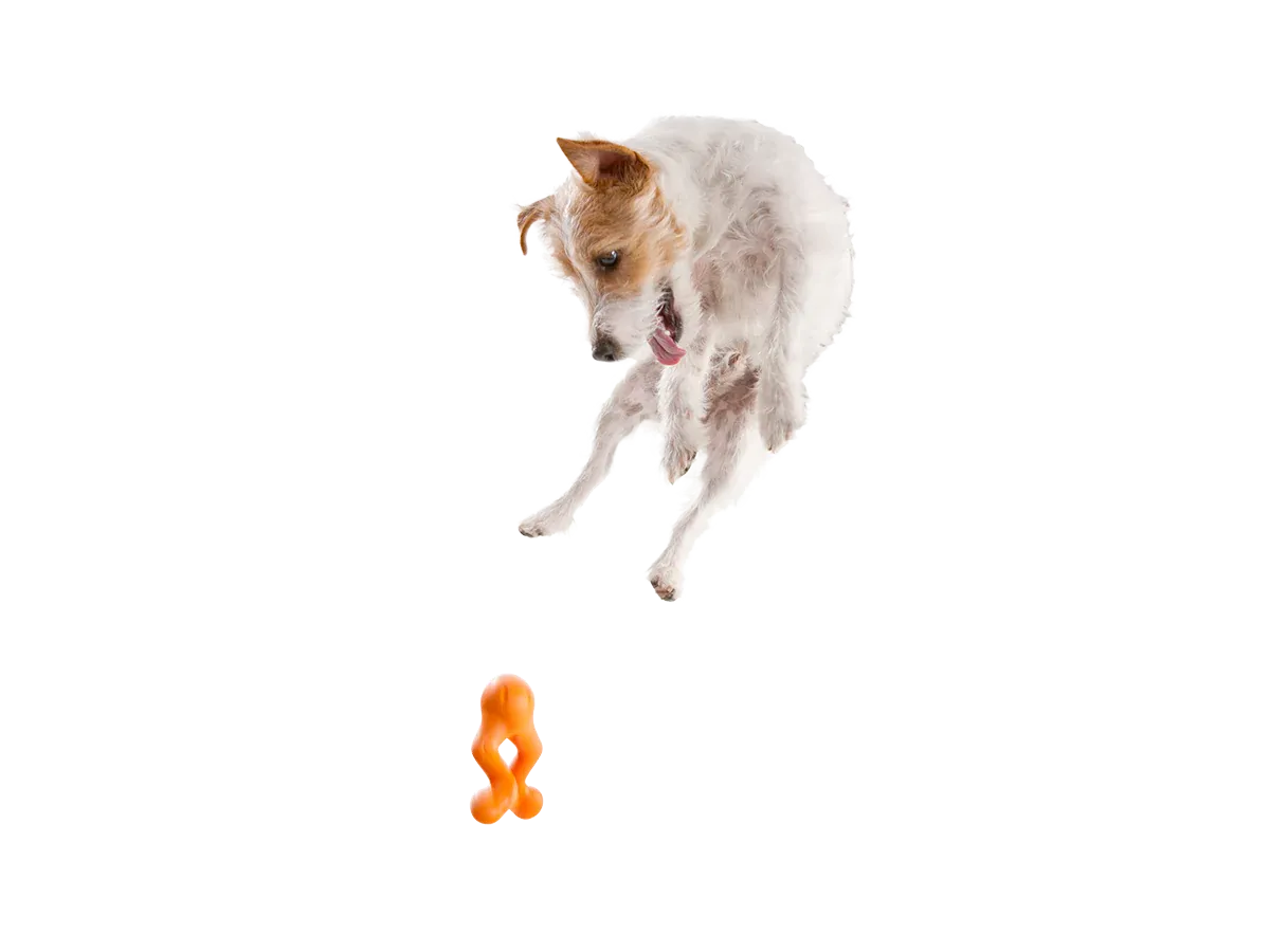 Toss and Fetch Interactive Treat Dispensing Dog toy, Zogoflex Tizzi