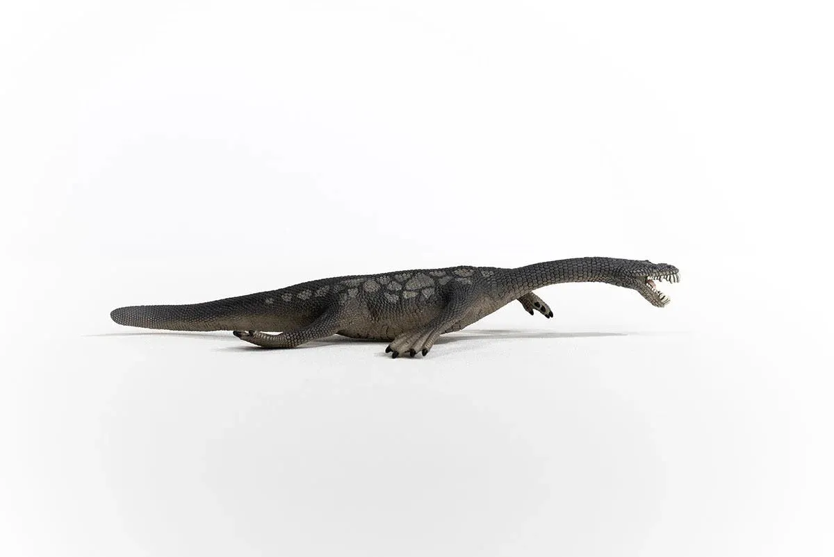 Toy | Nothosaurus