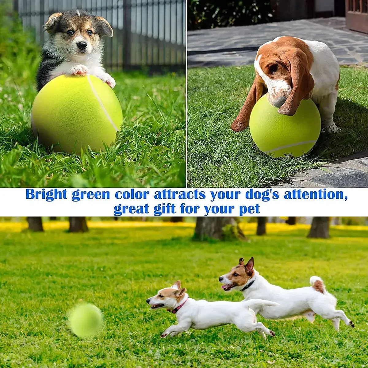 Trendy Tennis Ball Interactive Toy Play