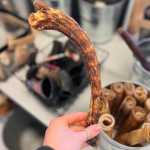 Turkey Necks
