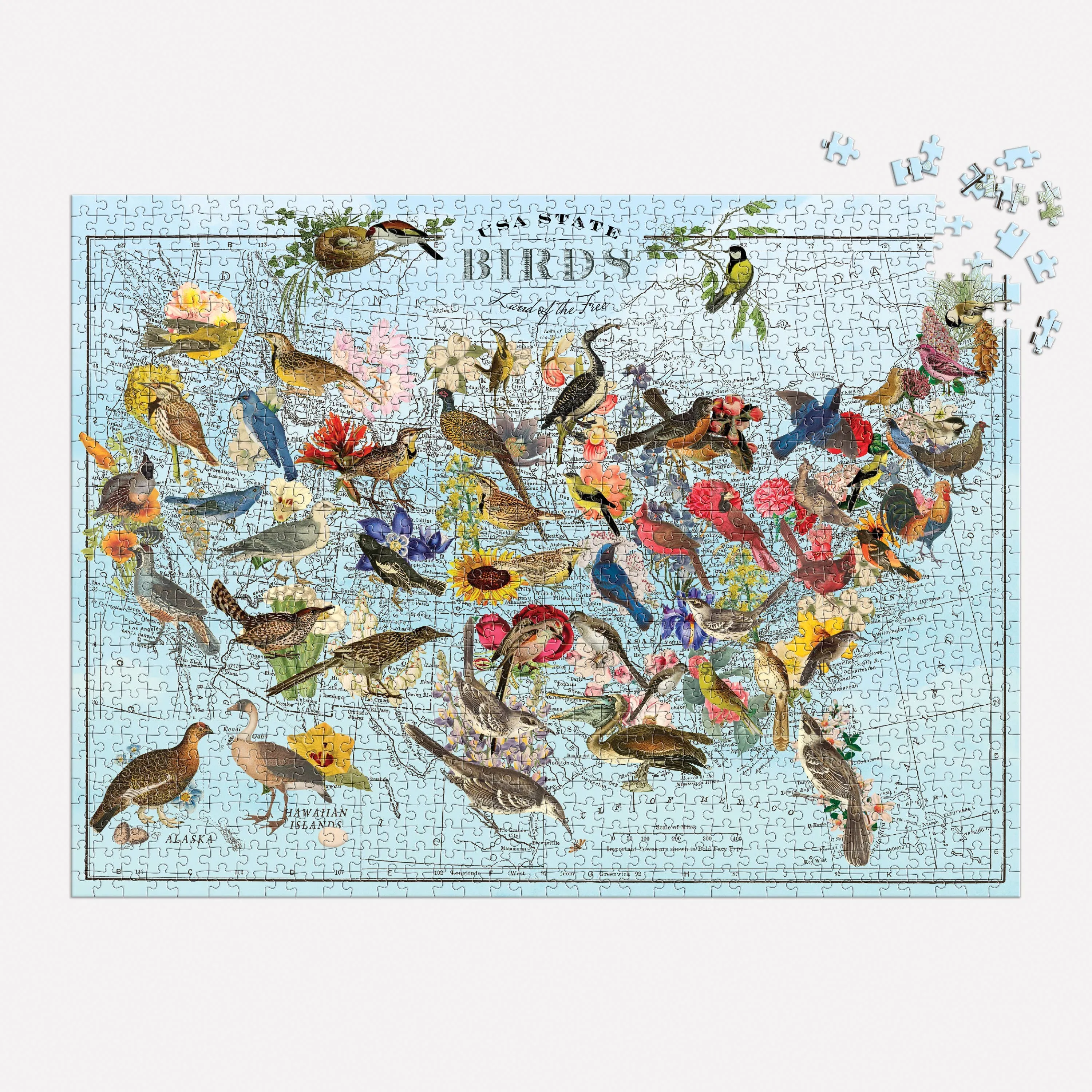Wendy Gold State Birds 1000 Piece Puzzle