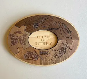 Wooden Life Cycle of Butterfly Board
