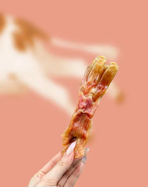 WulfSnacks Beef Tendon Dog Chews, 3 Pieces